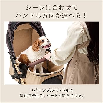 Amazon.co.jp: ジェックス OSOTO GRACE QC キャメル ワンタッチ